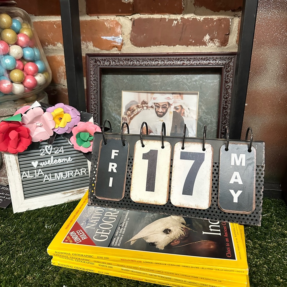 National Geographic wing bundle